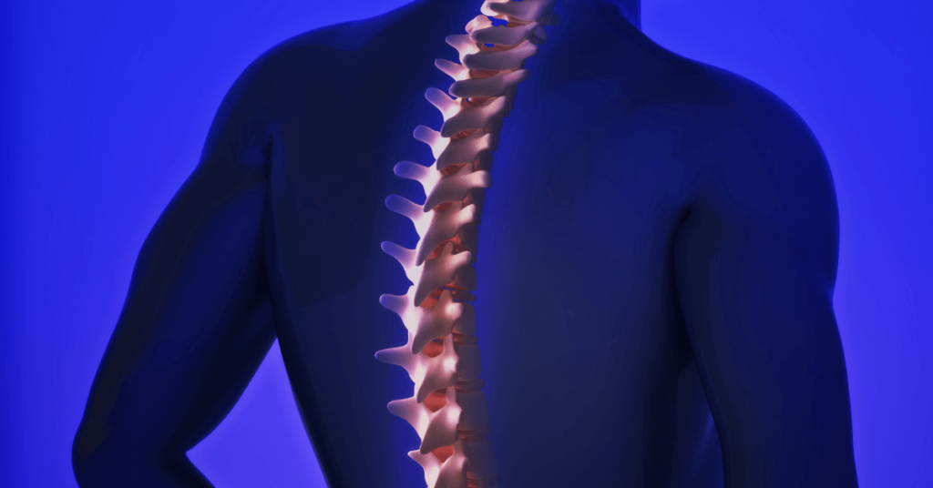 chiropractic treatment for back pain and spine alignment